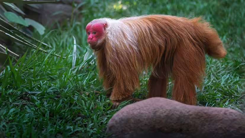 2025120170735338.jpg 3.jpg