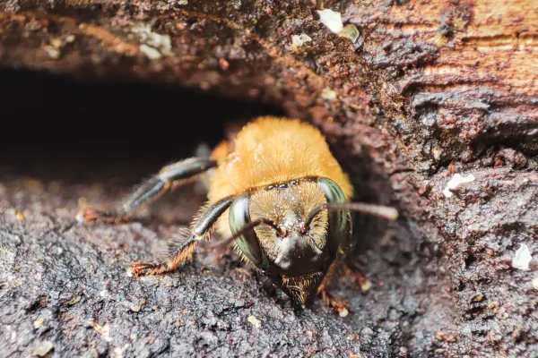 4.webp