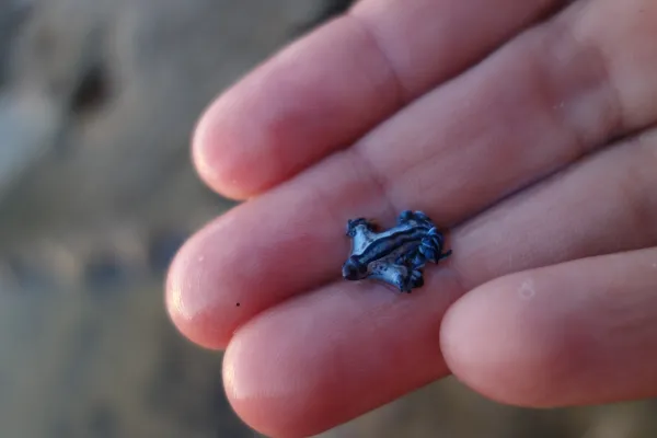 2026010711145510.webp 4.webp