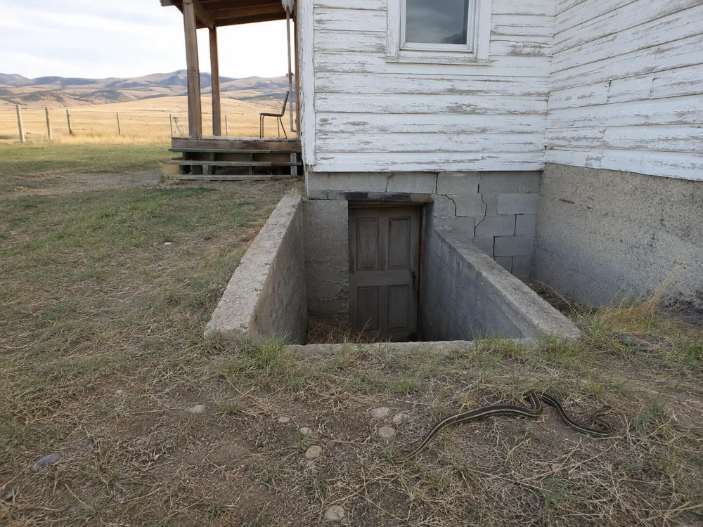 Montana Farmhouse Snake Infestation: Why It Happens, Which Snakes Are Involved, and How to Fix It Sa